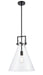 Innovations - 411-1S-BK-14CL - LED Pendant - Newton - Matte Black