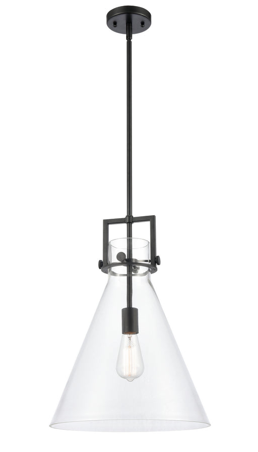 Innovations - 411-1S-BK-14CL-LED - LED Pendant - Newton - Matte Black