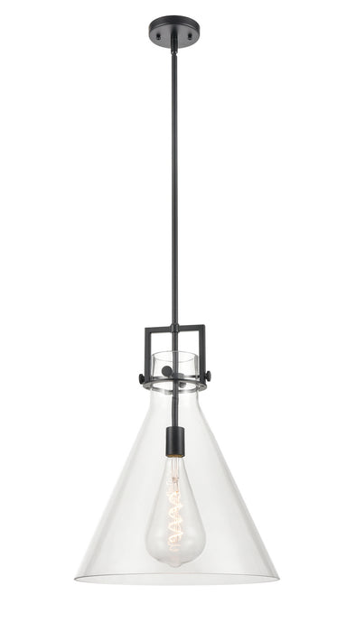 Innovations - 411-1S-BK-16CL - LED Pendant - Newton - Matte Black