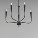 Maxim - 24815BK - Five Light Chandelier - Vela - Black