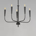 Maxim - 24815BK - Five Light Chandelier - Vela - Black