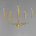 Maxim - 24815SBR - Five Light Chandelier - Vela - Satin Brass