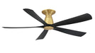 Fanimation - FPD5534BSBL - 52 Inches Ceiling Fan - Kute5 52 - Brushed Satin Brass