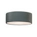 Justice Designs - CER-6290-PWGN - LED Flush-Mount - Radiance - Pewter Green