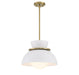 Meridian - M7026NB - One Light Pendant - Natural Brass