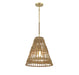Meridian - M7035NRNB - One Light Pendant - Natural Brass