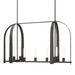 Hubbardton Forge - 131075-SKT-MULT-07-FD0462 - Nine Light Pendant - Triomphe - Dark Smoke