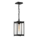 Hubbardton Forge - 362021-SKT-80-ZM0730 - One Light Outdoor Lantern - Cela - Coastal Black