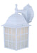 Canarm - IOL2511 - One Light Outdoor Lantern - Outdoor - White