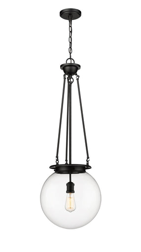 Essex One Light Pendant