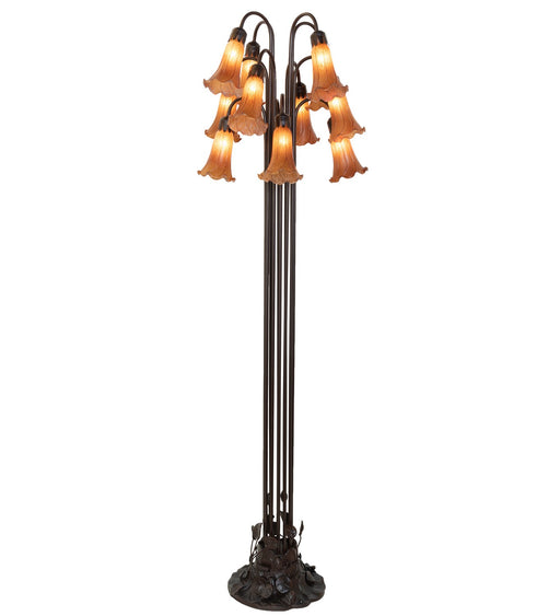 Meyda Tiffany - 15874 - 12 Light Floor Lamp - Amber - Mahogany Bronze