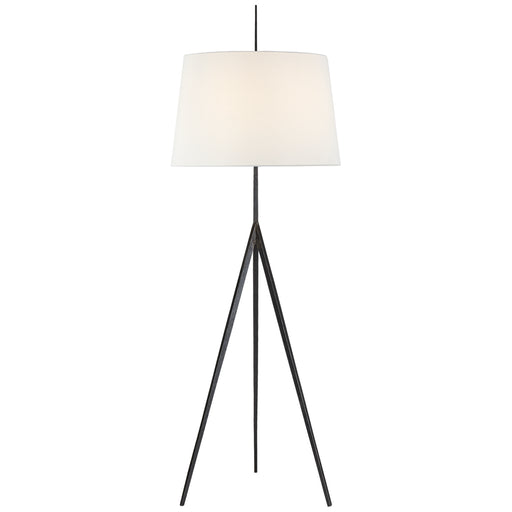 Visual Comfort Signature - S 1641AI-L - One Light Floor Lamp - Triad - Aged Iron