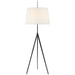 Visual Comfort Signature - S 1641AI-L - One Light Floor Lamp - Triad - Aged Iron