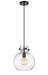 Innovations - 410-1PM-BK-G410-10SDY - One Light Mini Pendant - Newton - Matte Black