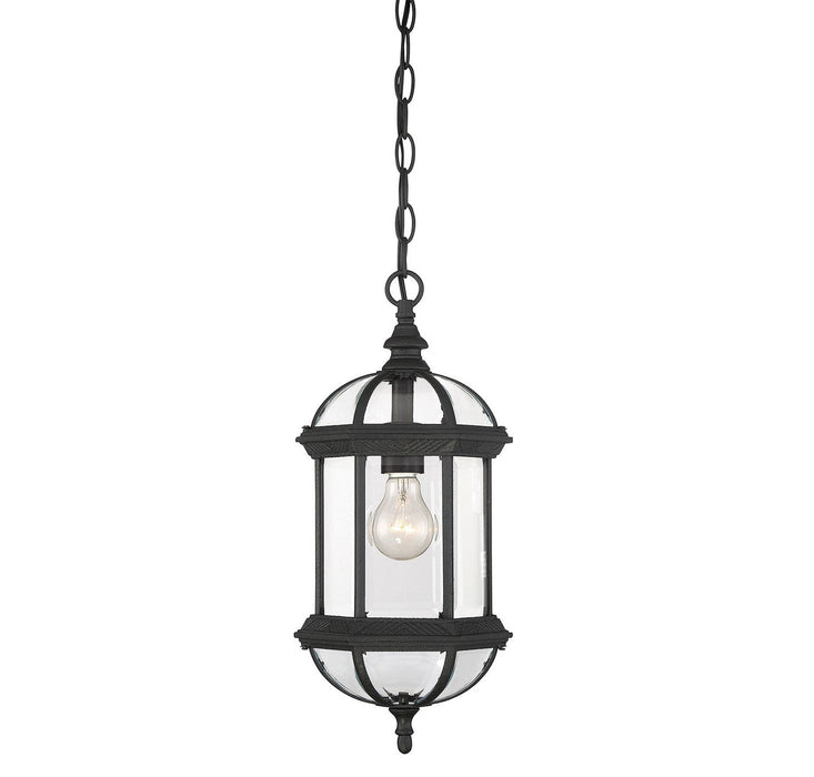 Savoy House - 5-0631-BK - One Light Hanging Lantern - Kensington - Textured Black