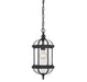 Savoy House - 5-0631-BK - One Light Hanging Lantern - Kensington - Textured Black