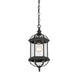 Savoy House - 5-0631-BK - One Light Hanging Lantern - Kensington - Textured Black