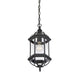 Savoy House - 5-0631-BK - One Light Hanging Lantern - Kensington - Textured Black