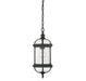 Savoy House - 5-0631-BK - One Light Hanging Lantern - Kensington - Textured Black