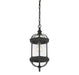Savoy House - 5-0631-BK - One Light Hanging Lantern - Kensington - Textured Black