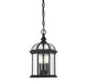 Savoy House - 5-0635-BK - Three Light Hanging Lantern - Kensington - Textured Black