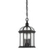 Savoy House - 5-0635-BK - Three Light Hanging Lantern - Kensington - Textured Black