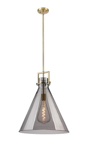 Newton One Light Pendant