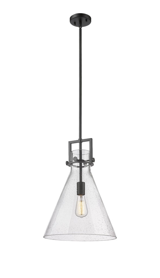 Innovations - 411-1SL-BK-G411-14SDY - One Light Pendant - Newton - Matte Black
