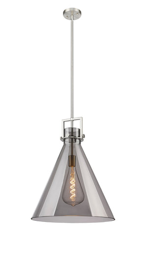 Newton One Light Pendant