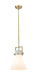 Innovations - 411-1SM-BB-G411-10WH - One Light Mini Pendant - Newton - Brushed Brass