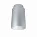 Nora Lighting - NYLM-5SCCDXSSLE4 - LED Surface Mount - Cylinder Ilene - Silver