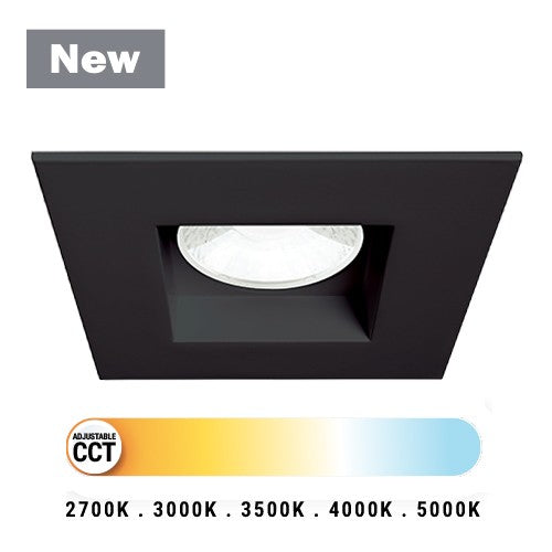 Midway LED Downlight
