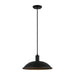 Matteo Lighting - C81901MB - One Light Pendant - Farmley