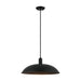 Matteo Lighting - C81911MB - One Light Pendant - Farmley