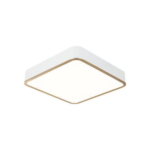 Ainslay LED Ceiling Mount