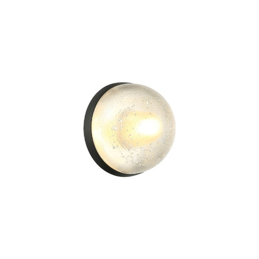 Misty One Light Wall Sconce/Ceiling Mount
