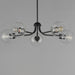 Maxim - 21635CLBK - Five Light Chandelier - Knox - Black