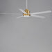 Maxim - 88826WTNAB - 60 Inch Ceiling Fan - Daisy - Natural Aged Brass