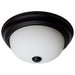 Nuvo Lighting - 60-127 - Two Light Flush Mount - Matte Black