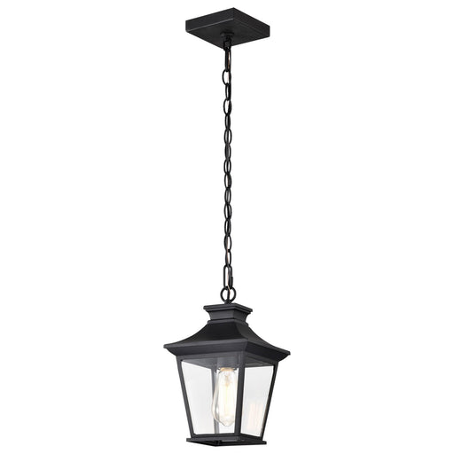 Nuvo Lighting - 60-5746 - One Light Outdoor Hanging Lantern - Jasper - Matte Black
