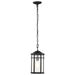 Nuvo Lighting - 60-5759 - One Light Outdoor Hanging Lantern - Raiden - Matte Black