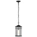Nuvo Lighting - 60-5759 - One Light Outdoor Hanging Lantern - Raiden - Matte Black
