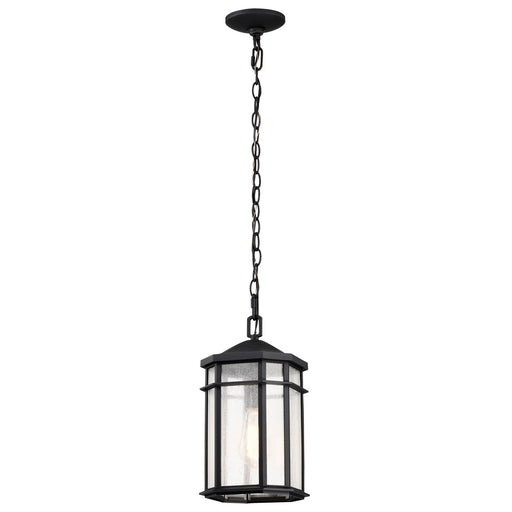 Nuvo Lighting - 60-5759 - One Light Outdoor Hanging Lantern - Raiden - Matte Black