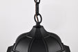 Nuvo Lighting - 60-5944 - One Light Outdoor Hanging Lantern - East River - Matte Black