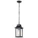Nuvo Lighting - 60-5958 - One Light Outdoor Hanging Lantern - Stillwell - Matte Black