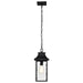 Nuvo Lighting - 60-5996 - One Light Outdoor Hanging Lantern - Austen - Matte Black