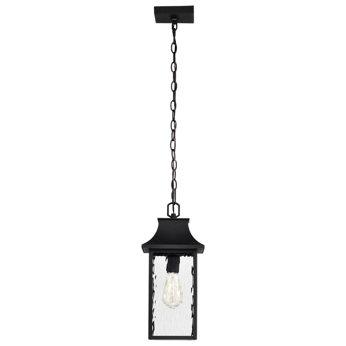 Nuvo Lighting - 60-5996 - One Light Outdoor Hanging Lantern - Austen - Matte Black