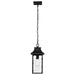 Nuvo Lighting - 60-5996 - One Light Outdoor Hanging Lantern - Austen - Matte Black