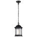 Nuvo Lighting - 60-6117 - One Light Outdoor Hanging Lantern - Hopkins - Matte Black