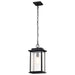 Nuvo Lighting - 60-7377 - One Light Outdoor Hanging Lantern - Sullivan - Matte Black